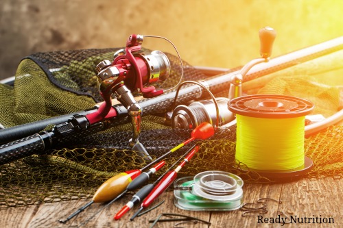 Bass and Bluegill : Two SHTF Protein Sources You Haven’t Considered