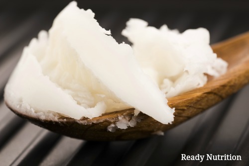 Which Oil is Best for Your Diet: MCT vs. Coconut Oil