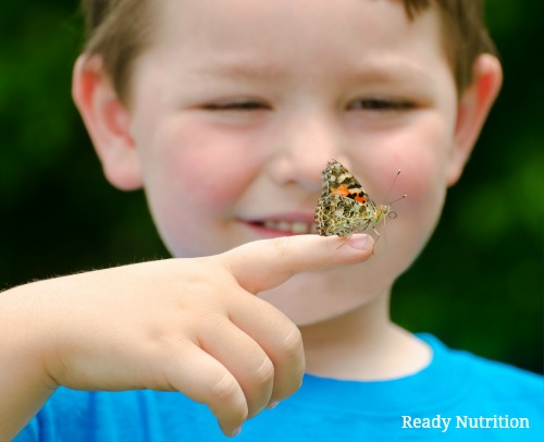 Create Your Own Butterfly Kingdom with this Child-Friendly Project