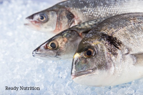 How the Fish Industry is Defrauding Millions and Should Be Avoided At All Costs