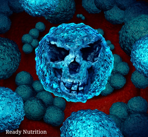 Upcoming Health Crisis? 4th Incident of Superbug Gene Found in the United State