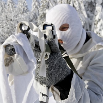 Winter Survival: How to Blend into a Winter Environment