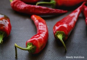 If you thought it strange that a person was eating hot peppers with their meal, science says they are loaded with all kinds of health benefits! #ReadyNutrition