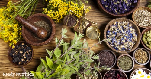The Many Benefits Of Starting An Herb Garden
