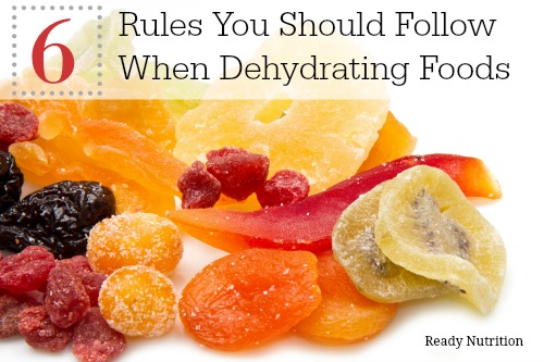 6 rules of dehydrating
