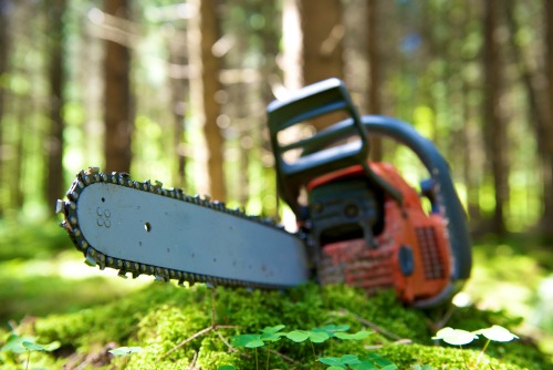 What the Prepper Needs to Know About the Usefulness of Chainsaws