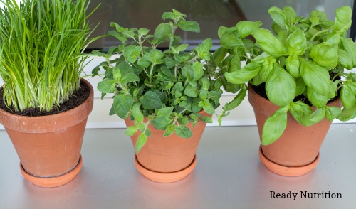 How To Prepare an Herb Garden in Winter