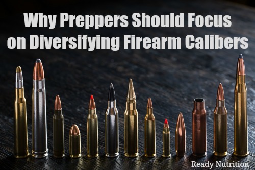 Why Preppers Should Focus on Diversifying Firearm Calibers