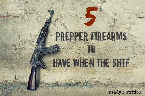5 Prepper Firearms to Have When the SHTF