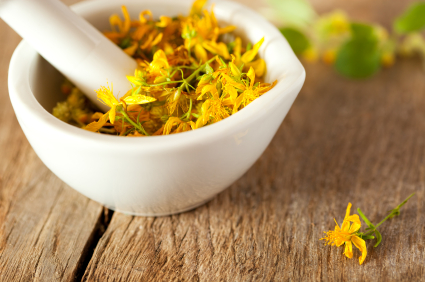 How to Harvest St. John’s Wort for Medicinal Tinctures