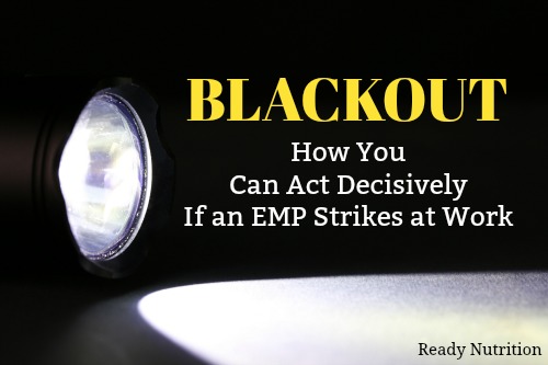 Blackout: How You Can Act Decisively If an EMP Strikes at Work