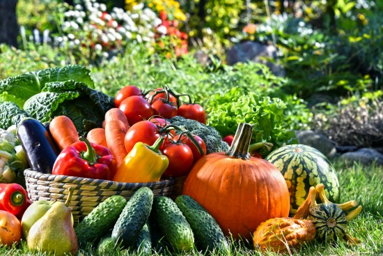 Can A Home Garden Produce Enough Food To Live On?