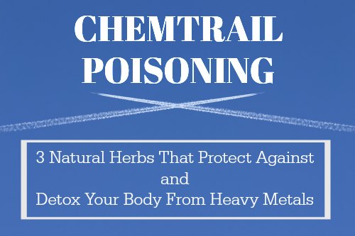 Chemtrail Poisoning: 3 Natural Herbs That Protect Against and Detox Your Body From Heavy Metals