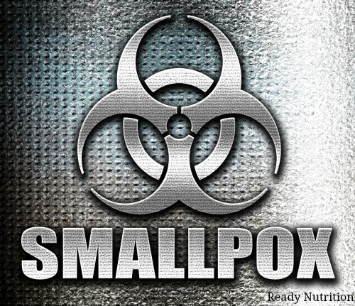 Biological Warfare: Is Smallpox a Threat? Recent Government Activity Suggests It Is
