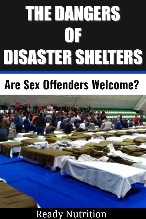 The dangers of going to a disaster shelter or a FEMA camp during an evacuation are many. Because of this, we've spent time attempting to encourage everyone to do their best to avoid both at all costs by having back up plans in place. But there's one more danger of going to a disaster shelter that is perhaps the most disturbing of all: sexual assault.