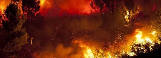 Over 100 wildfires are ravaging parts of the United States. It's only a matter of time before one of these could come to your neck of the woods. Are you prepared?