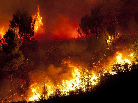 Inferno: How To Get Ready for a Rapidly Spreading Wildfire