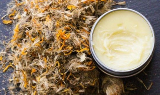 Arnica is an herbal medicine known for its healing properties. Whether your entire basement is filled with canned foods and enough water to survive the apocalypse or you simply keep a first aid kit in your car "just in case," you should consider adding arnica salve to your emergency kit.