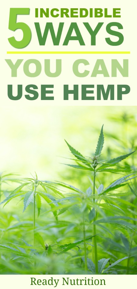 If there is such a thing as a wonder plant, hemp is it. Let's take a look at a few ways you can start using hemp today. #ReadyNutrition