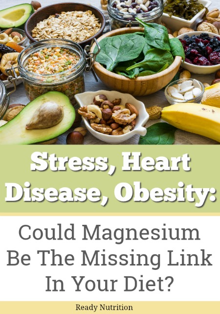 For balance in your diet, athletic performance, and overall health, Magnesium is a much-overlooked element that does far more upon closer examination than most would have believed possible. #ReadyNutrition #HealthyLiving #Diet