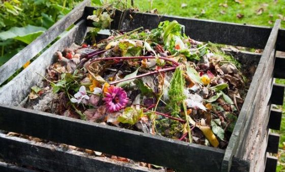 Turn Trash Into Treasure: The Easy Way To Make A Compost Pile Or Bin