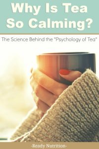 Why Is Tea So Calming? The Science Behind The "Psychology Of Tea"
