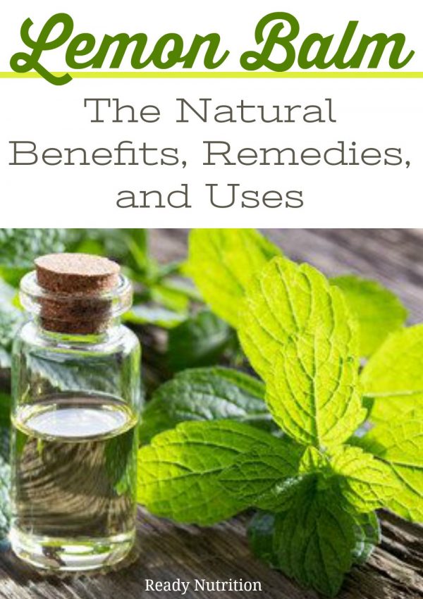 Lemon Balm: The Natural Benefits, Remedies, And Uses! | Ready Nutrition