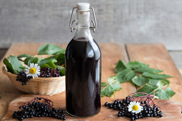 Homemade Elderberry Extract and 3 Ways To Use It