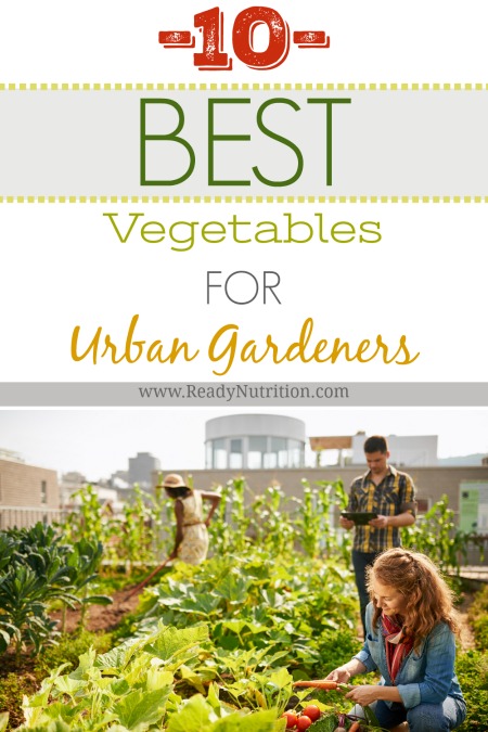 Before you know it, your urban oasis will be bursting with wholesome produce and you'll wonder why you waited so long to start growing your own food.