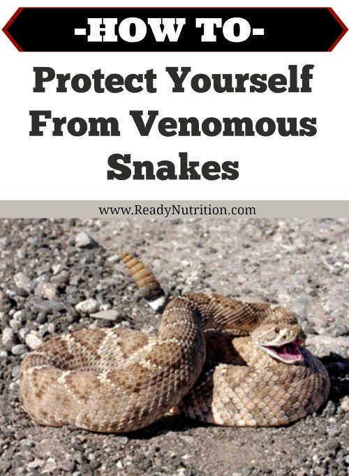 With the return of the warm summer sun comes the return of potentially venomous snakes. If you live in or are visiting an area known for its deadly snakes this summer, you will want to be careful and armed with the knowledge of how to protect yourself from them.