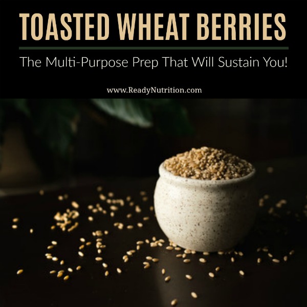 I'm having a summer love affair w/this recipe and have been putting it on everything from salad toppings, as a breakfast cereal, to using it as chip alternatives! You guys are going to ❤ toasted wheat berries! #ReadyNutrition #CleanEating #HealthyFood