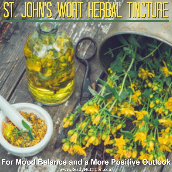 Known for its exhaustive medicinal value, St. John’s Wort is one of the best herbs to add to your herbal medicine cabinet. In addition to its medicinal properties, an herbal tincture can have the powerful effect of balancing your mood and helping you achieve a more positive outlook naturally.