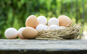 Chicken eggs and duck eggs are different. This article won't say one is better than the other, yet will celebrate the differences that should be noticed and how to alter your recipes if you do choose to use duck eggs instead.