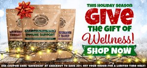 Shop Ready Nutrition Holiday Discounts
