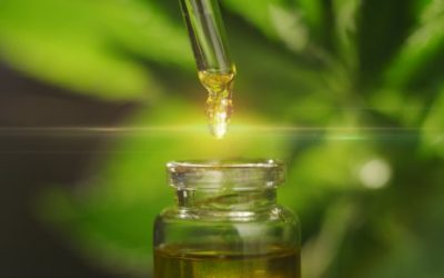 CBD and Marijuana: What’s the Difference and How Do They Work?
