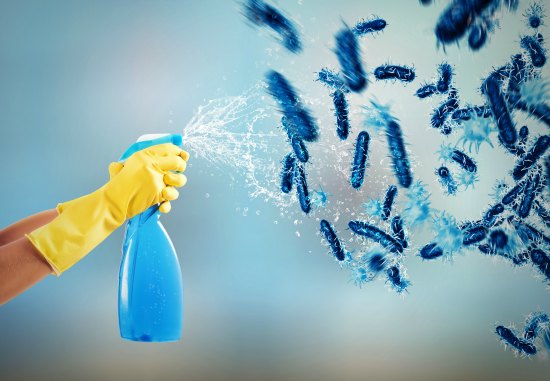 8 Immediate Steps You Need to Take To Prevent the Spread of Germs in Your House