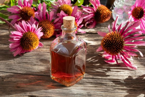 How To Make An Echinacea Tincture
