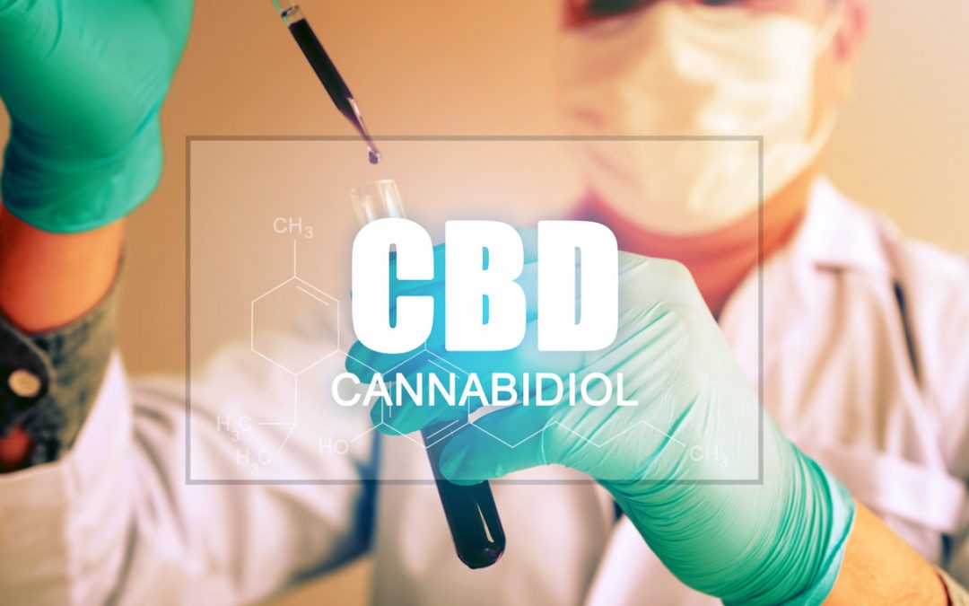 The Truth About CBD, the Immune System and Coronavirus COVID19