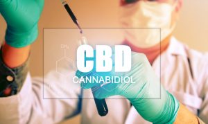 CBD And The Immune System