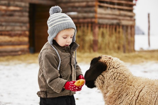 5 Winter Homestead Tips To Help You Prepare