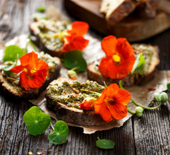 Cooking with Nasturtiums: 3 Tasty Recipes For the Summer