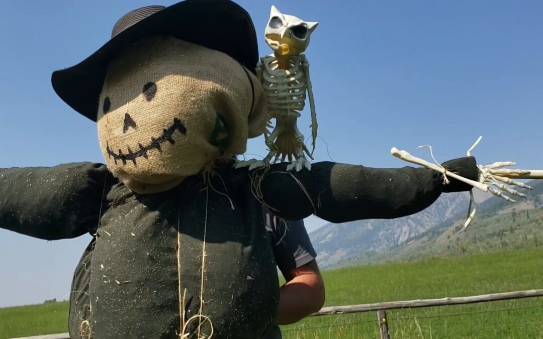 How To Make A Scarecrow
