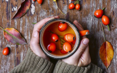 3 Benefits for Using Rose Hips to Boost the Immune System