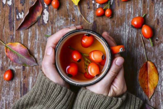 3 Benefits for Using Rose Hips to Boost the Immune System