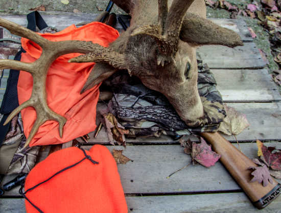 Hunting Tips: The Pros and Cons Of Two Different Field Dressing Methods