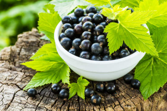 How To Use Black Currants For Joint Pain Relief