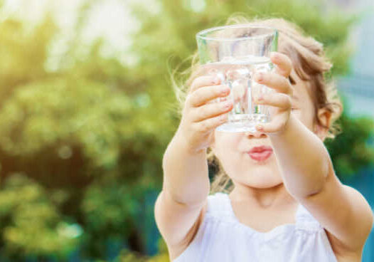 Having a water distiller in the home is a huge benefit for cooking and drinking, and it is a must-have item for urban survival.