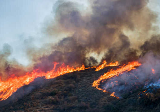 Wildfire season is upon us and it’s not just California that has to worry about this destructive disaster this year. In an unprecedented heat wave, 84 large fires and complexes have burned 3,071,353 acres in 13 states.  