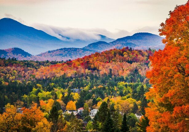 That wonderful time of the year: autumn.  When the leaves start changing colors and the mornings are brisker. We all seem to love this time of the year, and science says there's a reason why.