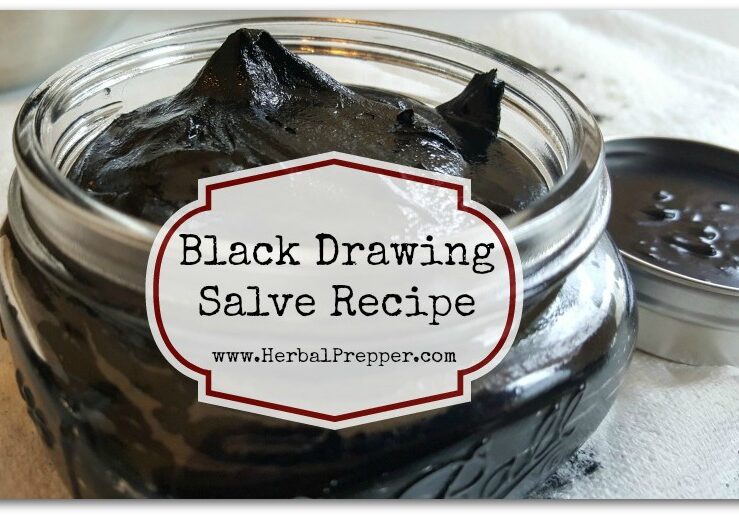 Black-Drawing-Salve